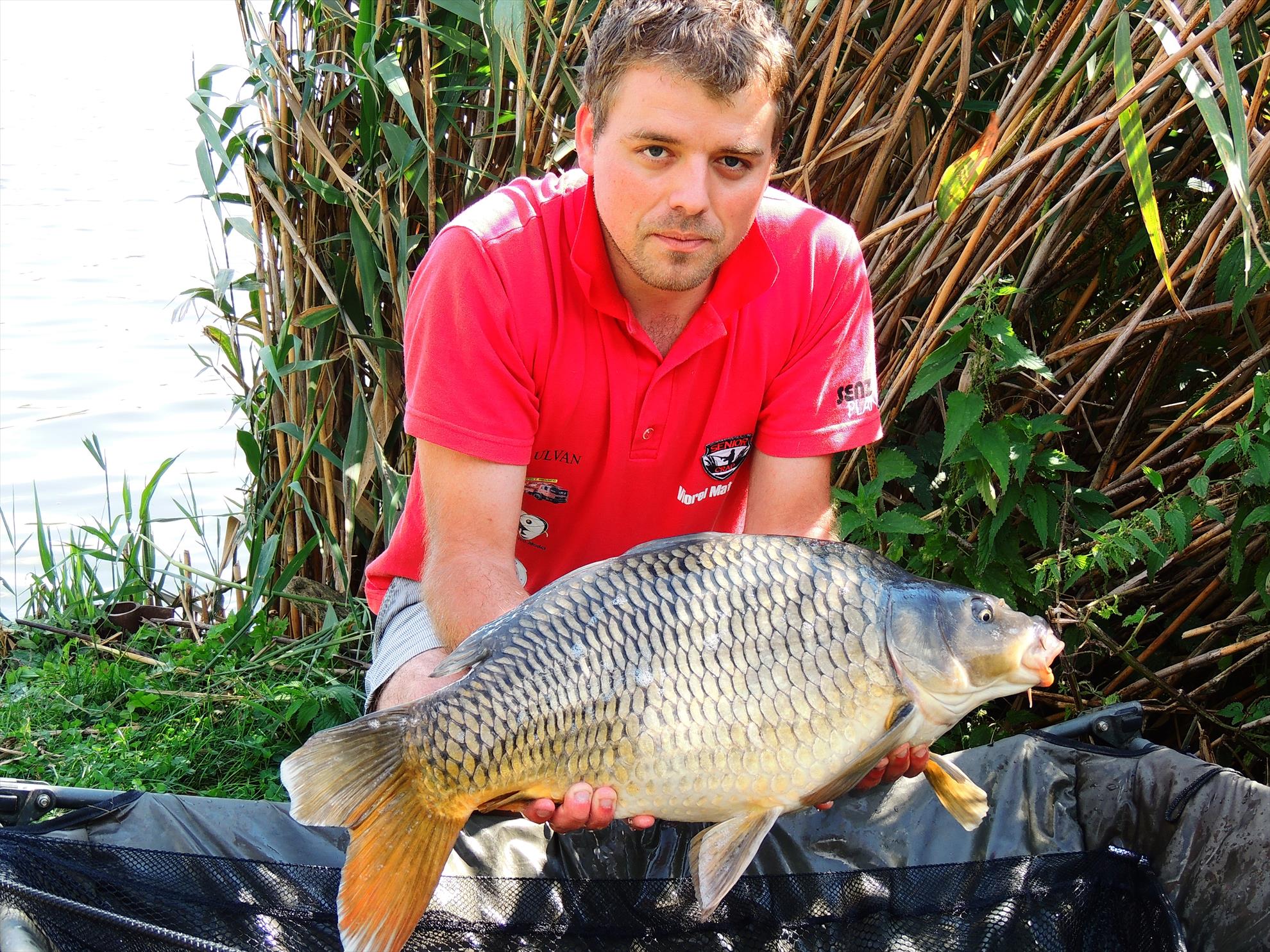 Tancabesti 12 - 14 sep. - 12.JPG